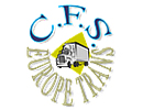 CFS EUROPE DEMENAGEMENT