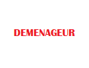 TEST DEMENAGEUR 1